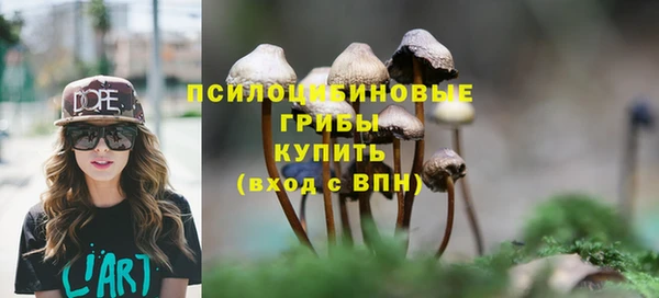 трава Богородицк