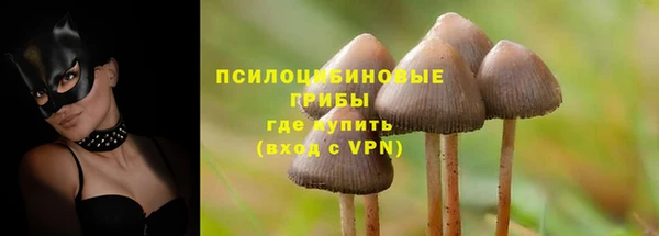 jwh Богородск