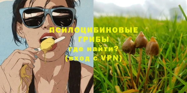 трава Богданович