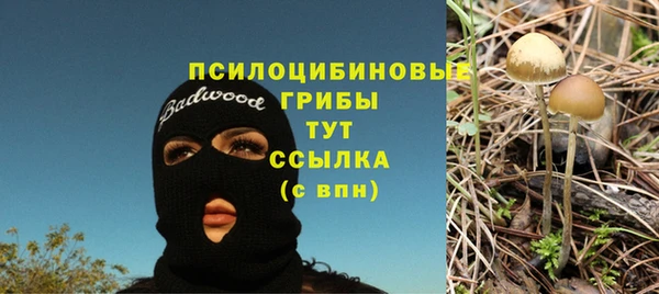 трава Богданович