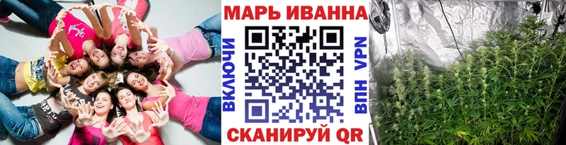 Конопля марихуана Михайловка